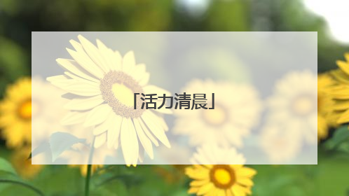 活力清晨