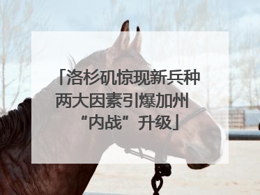 洛杉矶惊现新兵种 两大因素引爆加州“内战”升级