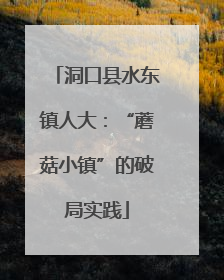 洞口县水东镇人大：“蘑菇小镇”的破局实践