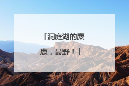洞庭湖的麋鹿，最野！