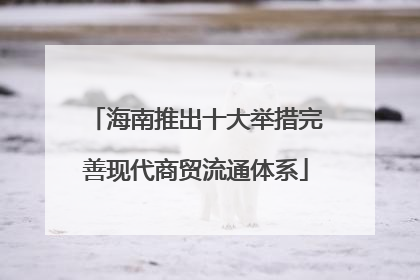 海南推出十大举措完善现代商贸流通体系