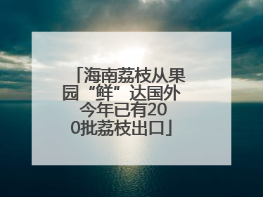 海南荔枝从果园“鲜”达国外 今年已有200批荔枝出口