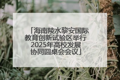 海南陵水黎安国际教育创新试验区举行2025年高校发展协同圆桌会会议