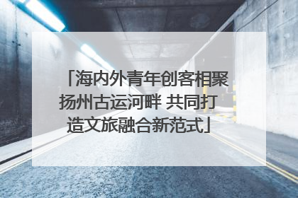 海内外青年创客相聚扬州古运河畔 共同打造文旅融合新范式
