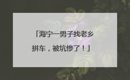 海宁一男子找老乡拼车，被坑惨了！
