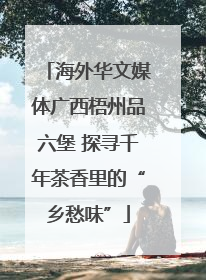 海外华文媒体广西梧州品六堡 探寻千年茶香里的“乡愁味”