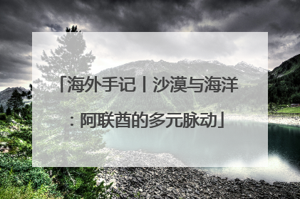 海外手记丨沙漠与海洋：阿联酋的多元脉动