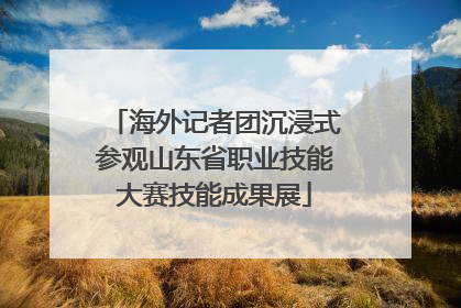 海外记者团沉浸式参观山东省职业技能大赛技能成果展