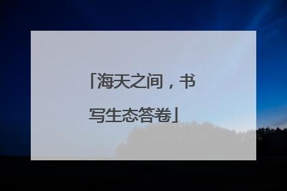 海天之间，书写生态答卷