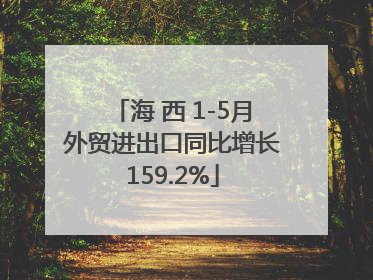 海 西 1-5月外贸进出口同比增长159.2%
