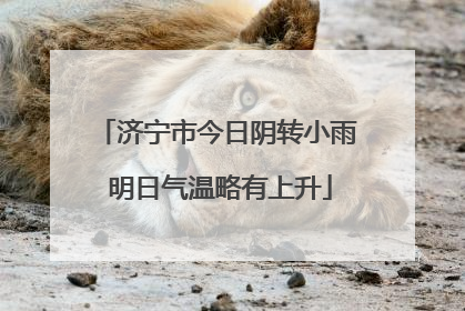 济宁市今日阴转小雨 明日气温略有上升
