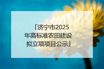 济宁市2025年高标准农田建设拟立项项目公示