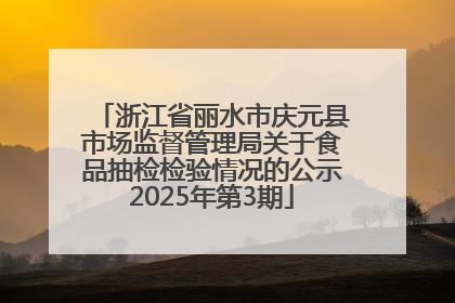 浙江省丽水市庆元县市场监督管理局关于食品抽检检验情况的公示2025年第3期