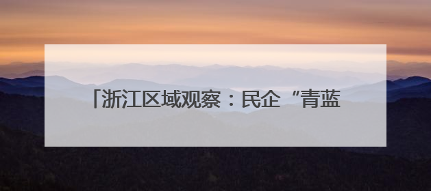 浙江区域观察：民企“青蓝接力”折射产业“向新力”