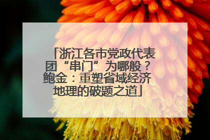 浙江各市党政代表团“串门”为哪般？鲍金：重塑省域经济地理的破题之道