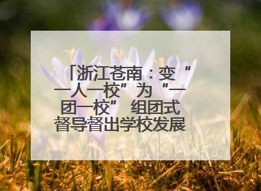浙江苍南：变“一人一校”为“一团一校” 组团式督导督出学校发展加速度