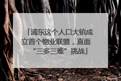 浦东这个人口大镇成立首个物业联盟，直面“三多三难”挑战