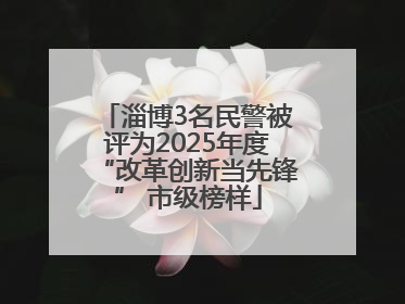 淄博3名民警被评为2025年度“改革创新当先锋” 市级榜样