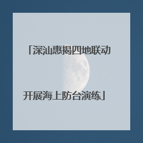 深汕惠揭四地联动开展海上防台演练