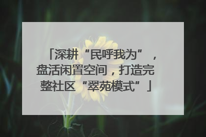深耕“民呼我为”，盘活闲置空间，打造完整社区“翠苑模式”