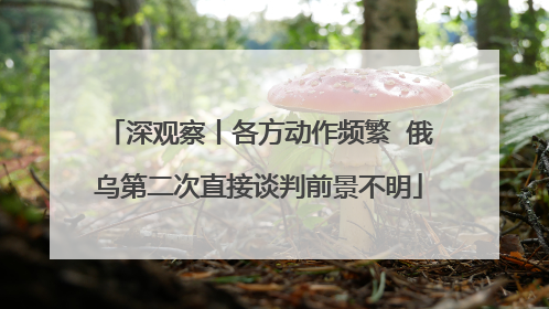 深观察丨各方动作频繁  俄乌第二次直接谈判前景不明