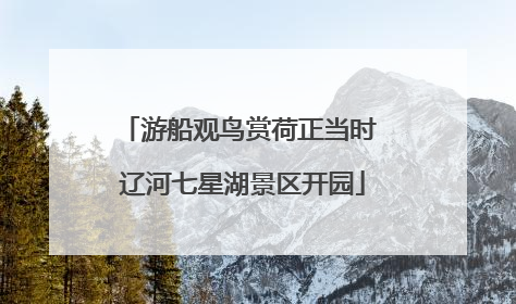 游船观鸟赏荷正当时 辽河七星湖景区开园