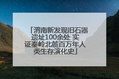 渭南新发现旧石器遗址100余处 实证秦岭北麓百万年人类生存演化史