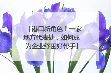 港口新角色！一家地方代表处，如何成为企业纾困好帮手