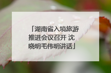 湖南省入境旅游推进会议召开 沈晓明毛伟明讲话