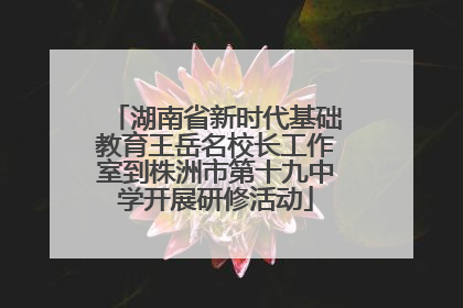 湖南省新时代基础教育王岳名校长工作室到株洲市第十九中学开展研修活动