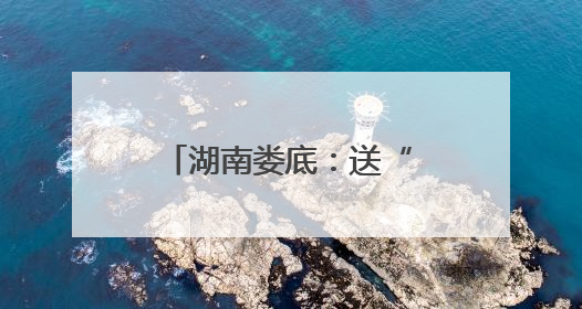 湖南娄底：送“典”下乡优服务 税惠进村助振兴