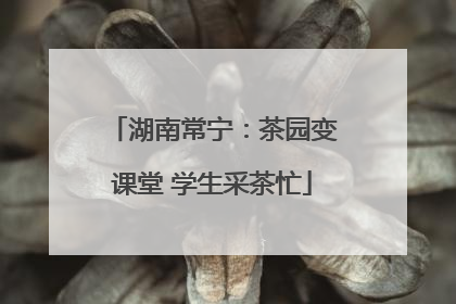 湖南常宁：茶园变课堂 学生采茶忙