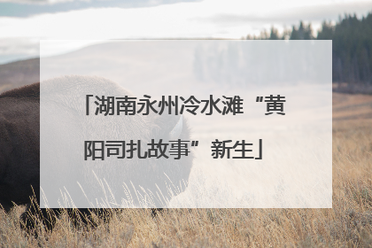 湖南永州冷水滩“黄阳司扎故事”新生