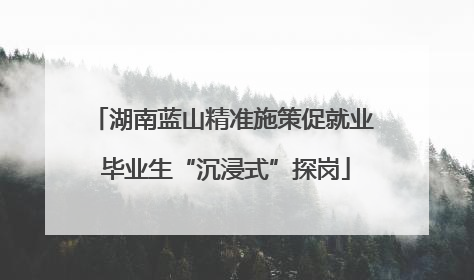 湖南蓝山精准施策促就业 毕业生“沉浸式”探岗