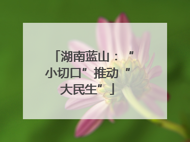 湖南蓝山：“小切口”推动“大民生”