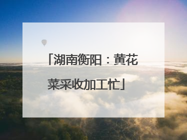 湖南衡阳：黄花菜采收加工忙