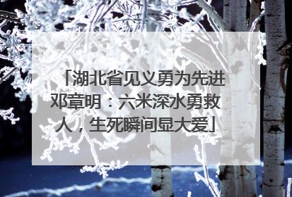湖北省见义勇为先进邓章明：六米深水勇救人，生死瞬间显大爱