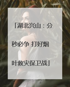 湖北兴山：分秒必争 打好烟叶救灾保卫战