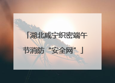 湖北咸宁织密端午节消防“安全网”