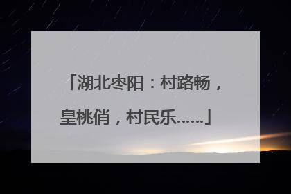 湖北枣阳：村路畅，皇桃俏，村民乐……