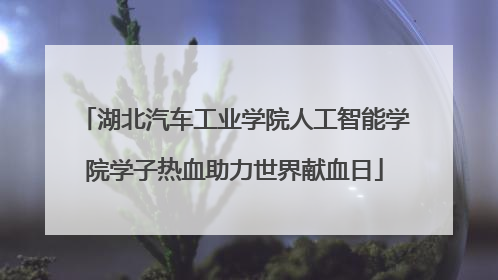 湖北汽车工业学院人工智能学院学子热血助力世界献血日