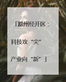 滁州经开区：科技攻“尖” 产业向“新”