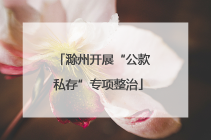 滁州开展“公款私存”专项整治