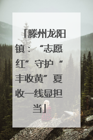 滕州龙阳镇：“志愿红”守护“丰收黄”夏收一线显担当