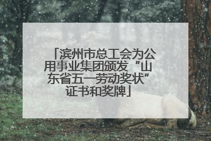 滨州市总工会为公用事业集团颁发“山东省五一劳动奖状”证书和奖牌