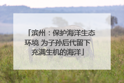 滨州：保护海洋生态环境 为子孙后代留下充满生机的海洋