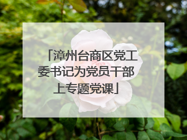 漳州台商区党工委书记为党员干部上专题党课