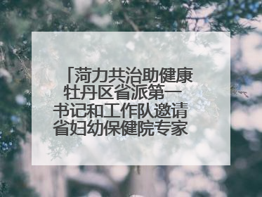 菏力共治助健康 牡丹区省派第一书记和工作队邀请省妇幼保健院专家开展义诊活动