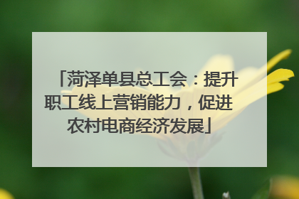 菏泽单县总工会：提升职工线上营销能力，促进农村电商经济发展
