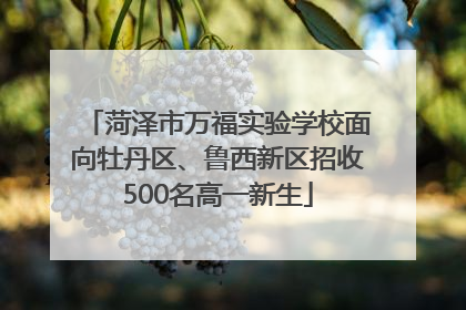 菏泽市万福实验学校面向牡丹区、鲁西新区招收500名高一新生